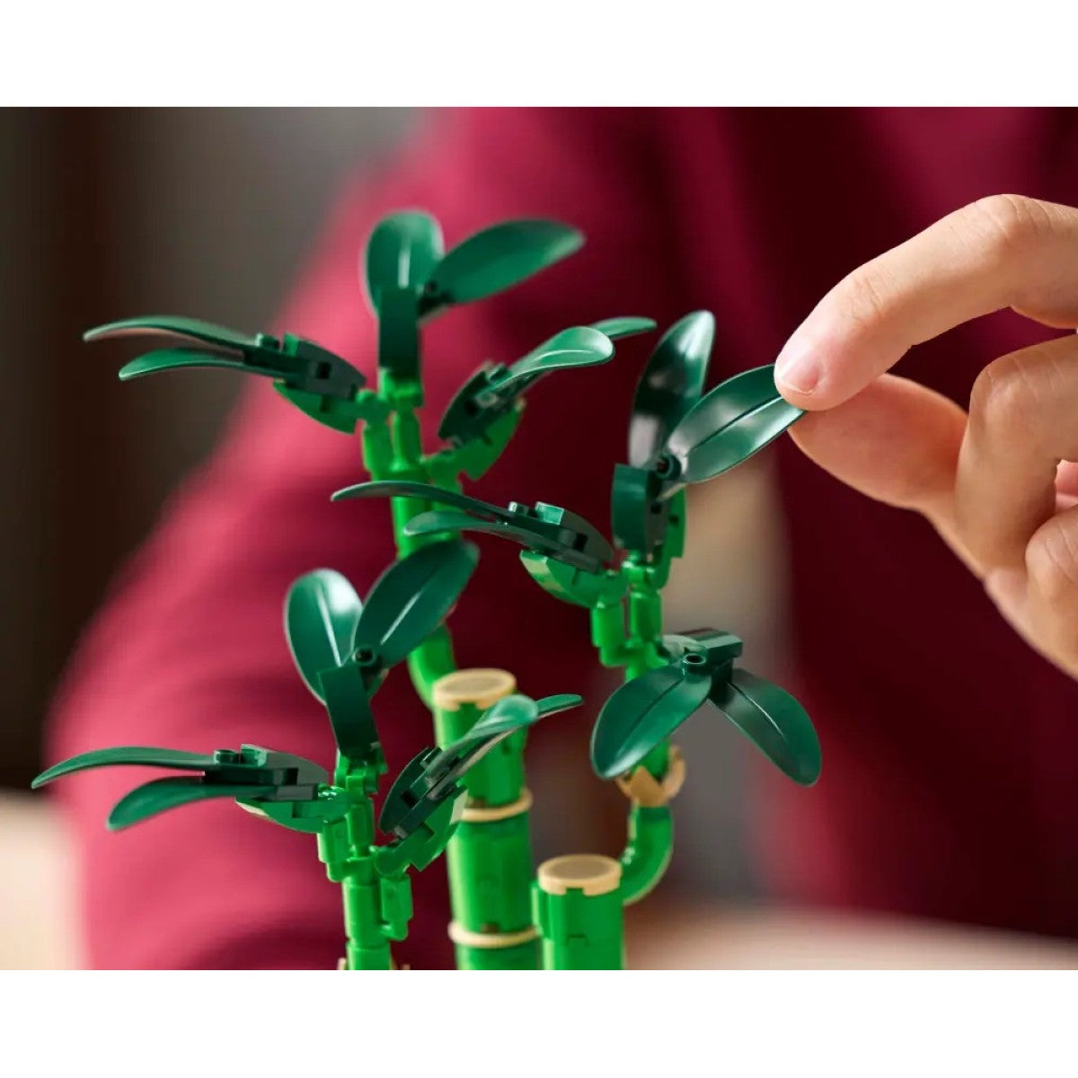 LEGO® Botanicals Glücks-Bambus (10344)