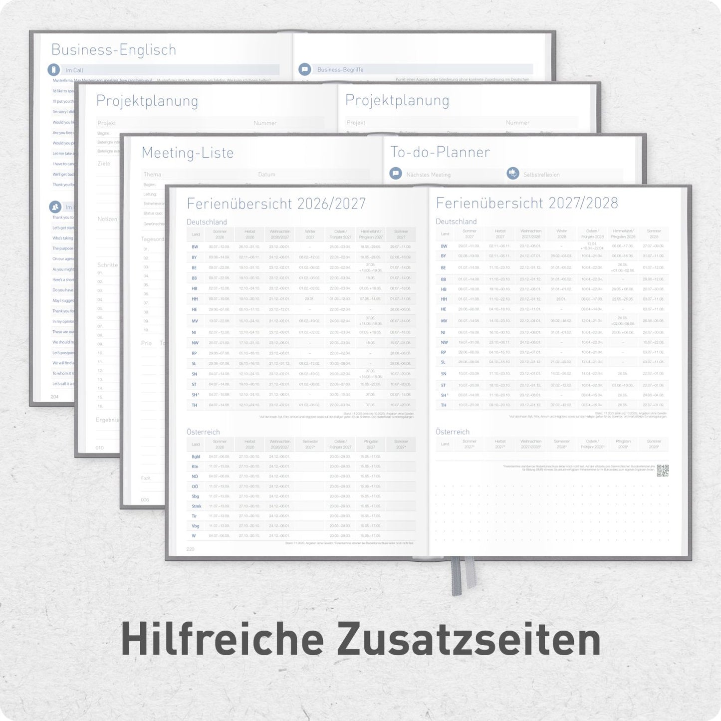 Business-Timer 2026/2027 / 17 Monate / A5 / Grau-Rosé / Häfft-Verlag