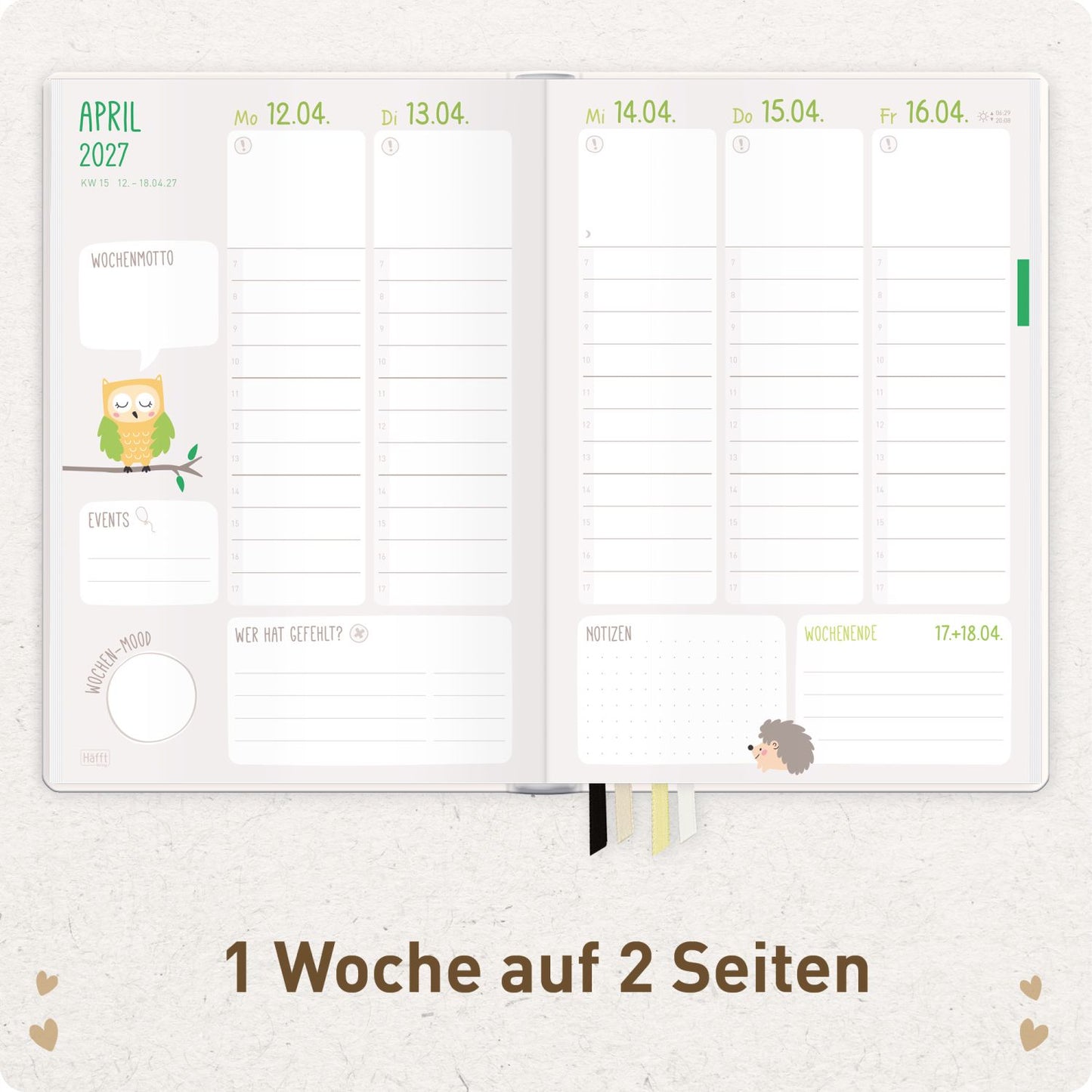 Häfft Erzieher-Planer 2026/2027 / A5+ / Golden Hearts