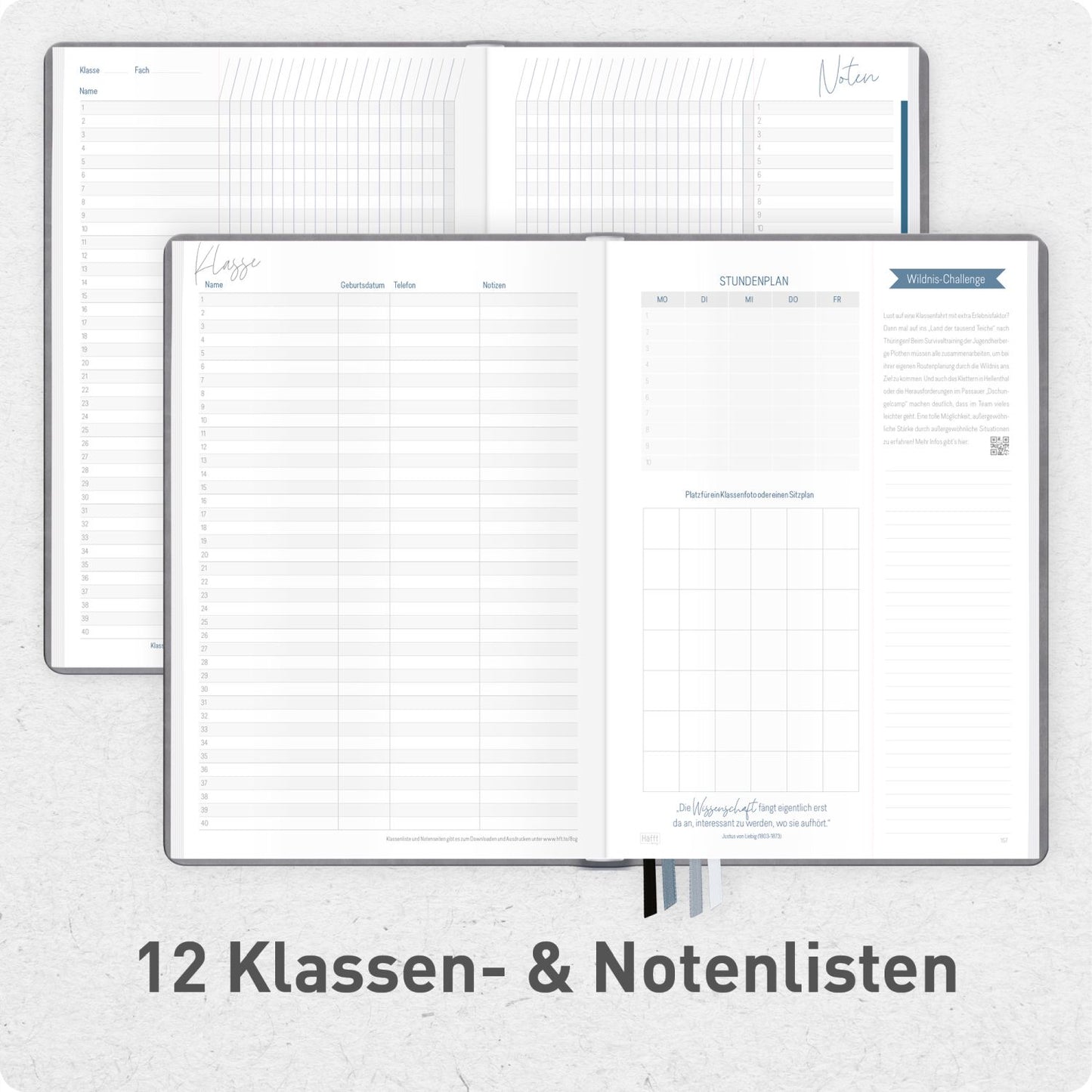 Häfft Lehrer-Planer 2026/2027 / A4+ / KL / Grey Edition