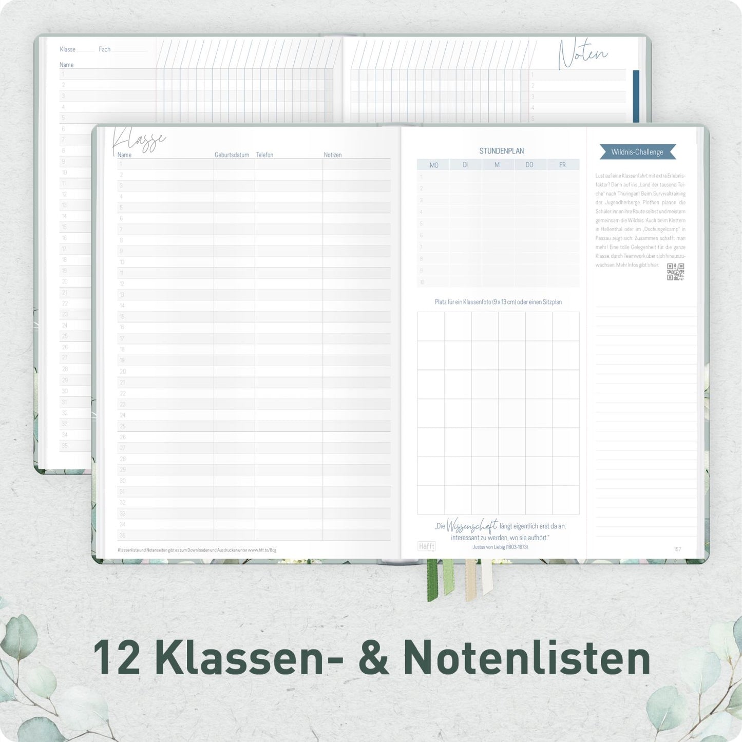Häfft Lehrer-Planer 2026/2027 / A5+ / Minty Leaves