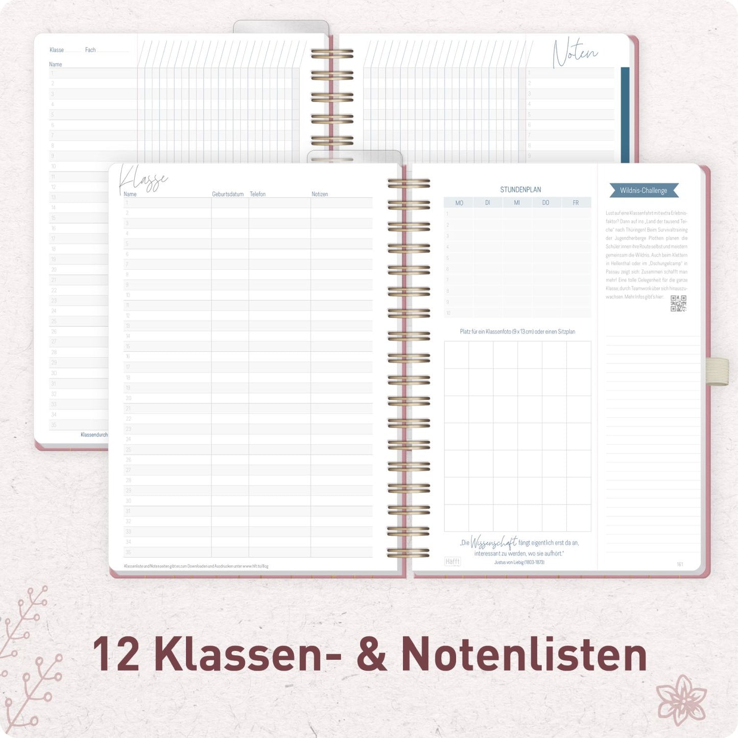 Häfft Lehrer-Planer Deluxe KL 2026/2027 / A5+ / Fine Flowers Rosé