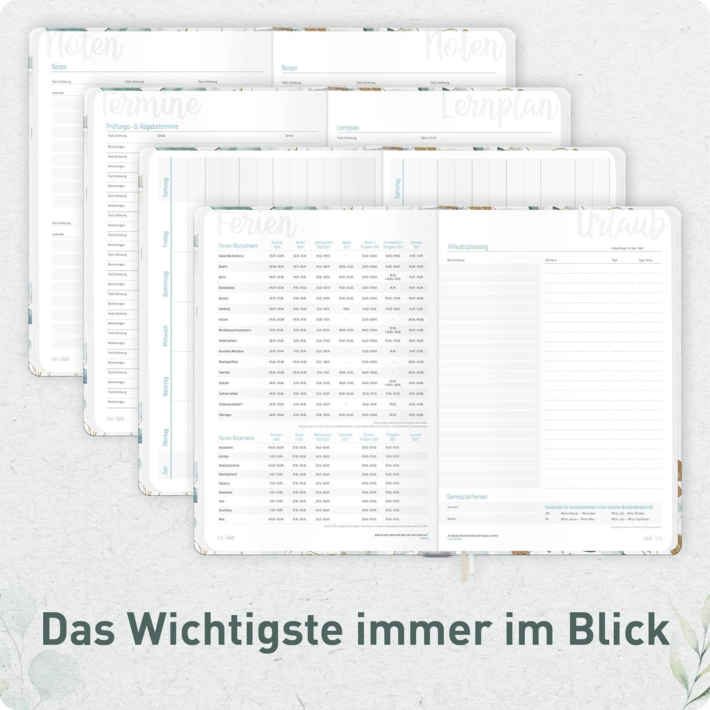 Häfft-Timer Jugendkalender 2026/2027 / A5 / Blattgold / Häfft-Verlag