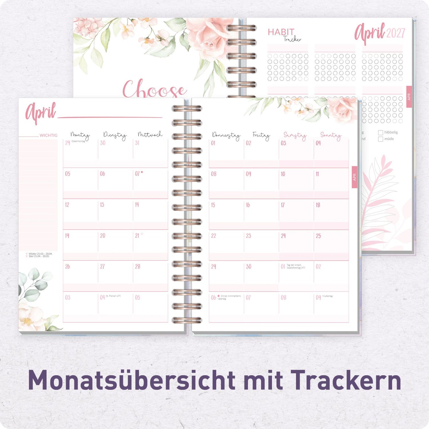 Häfft-Timer Fancy 2026/2027 / A5 / Bleu & Rosé / Häfft-Verlag