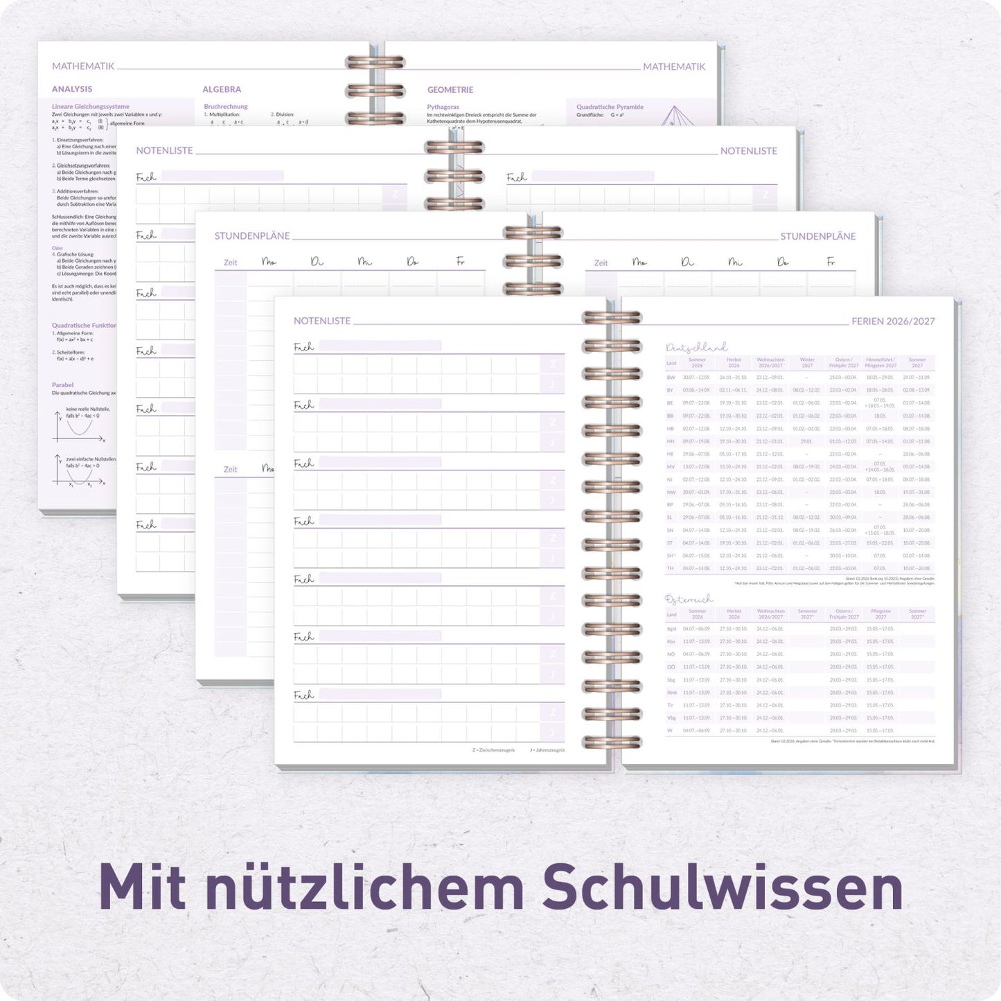 Häfft-Timer Fancy 2026/2027 / A5 / Bleu & Rosé / Häfft-Verlag